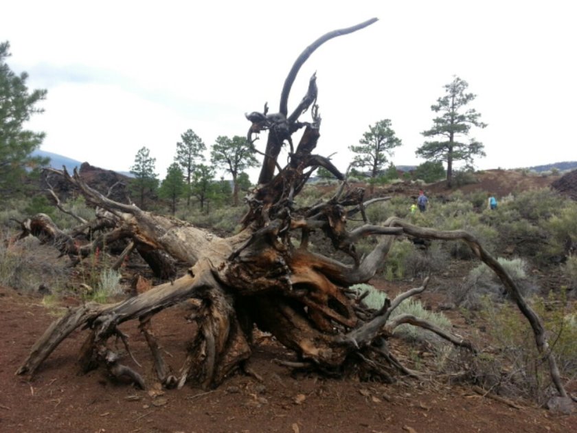 2013-07-14 10.31.05.jpg image