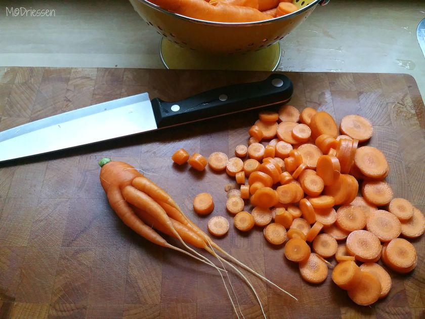 150825Wortel1
