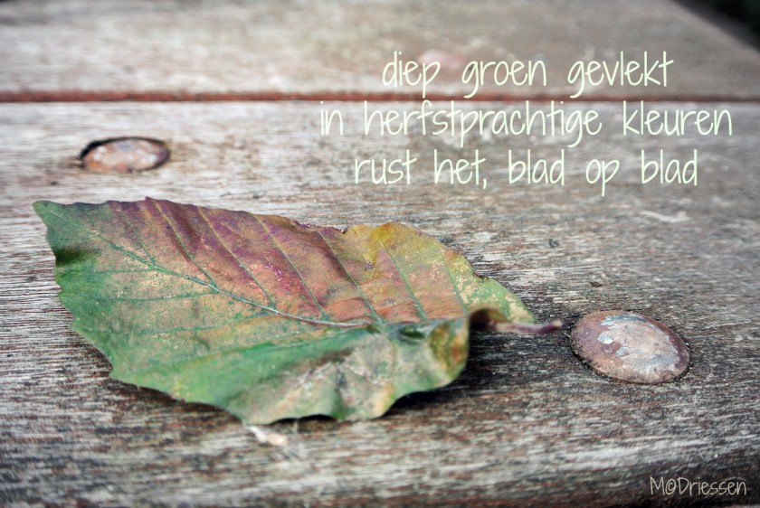 150919HaikuZaterdagTekst