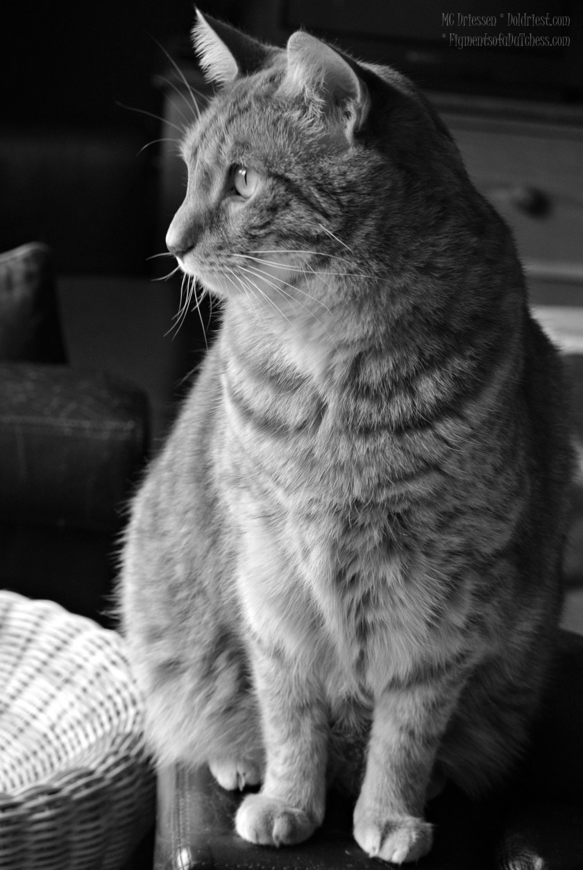 160619SilentSundaySmokeyBnWmd