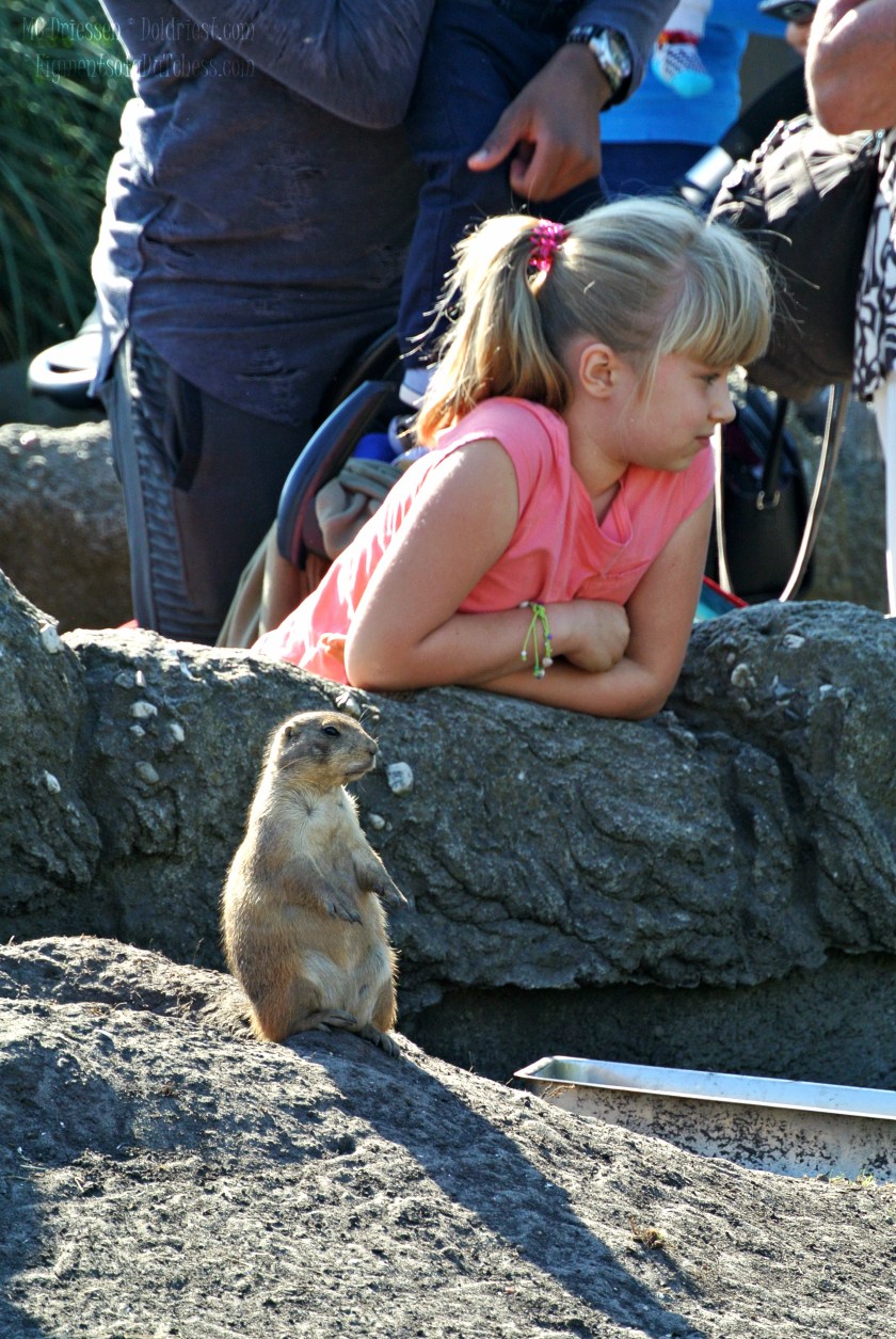 161009silentsundaymd