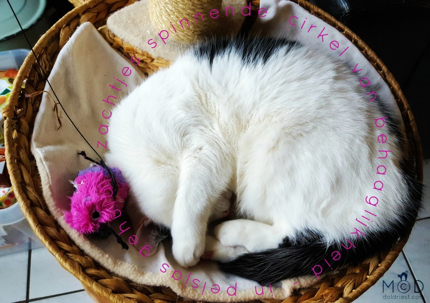 180303Japansgedichtmd