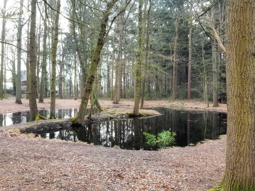 200317buitenstebinnen