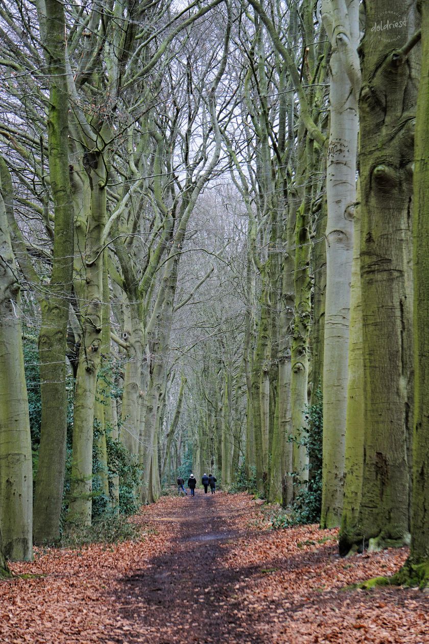 200320buitenstebinnen