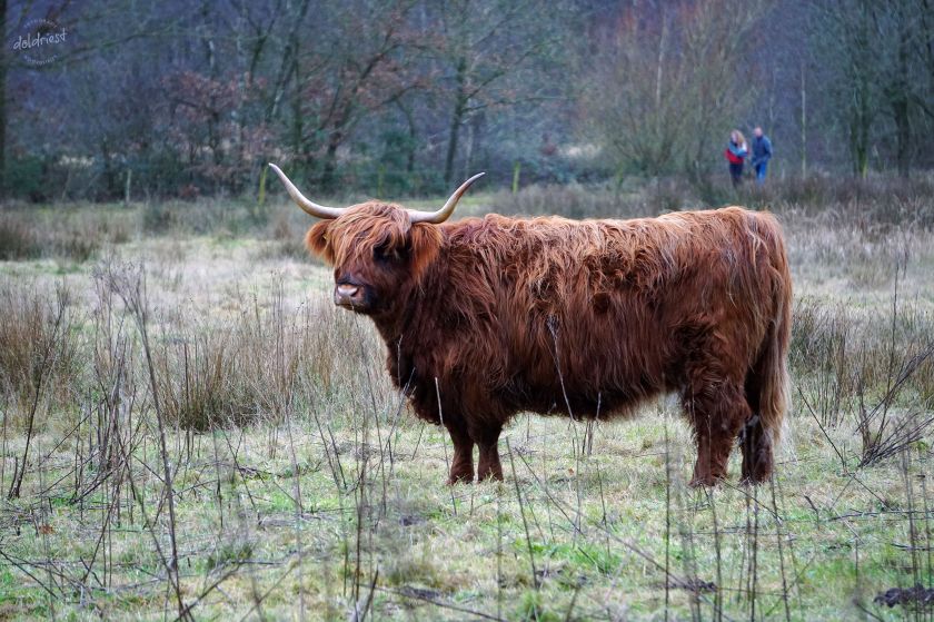 200323buitenstebinnen