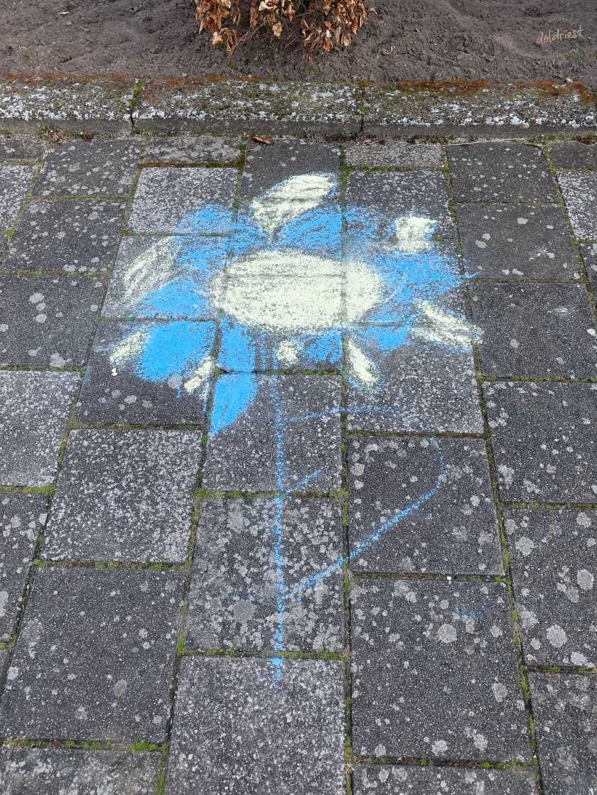 200325buitenstebinnen